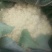 白面青梗松花菜0.55元，大量上市。