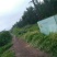 水浇地适合种植粮油、蔬菜等，电力配套，不盐碱