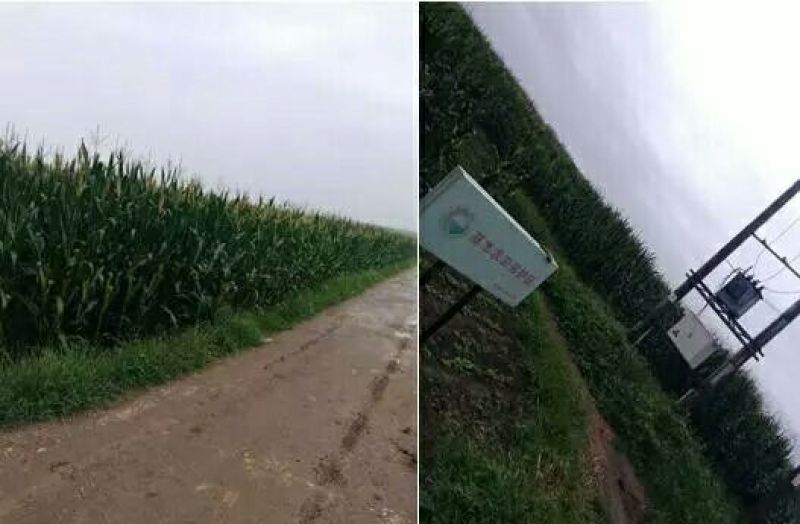 水浇地适合种植粮油、蔬菜等，电力配套，不盐碱
