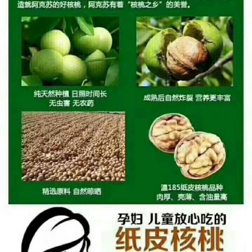 薄皮核桃30mm以上去皮干