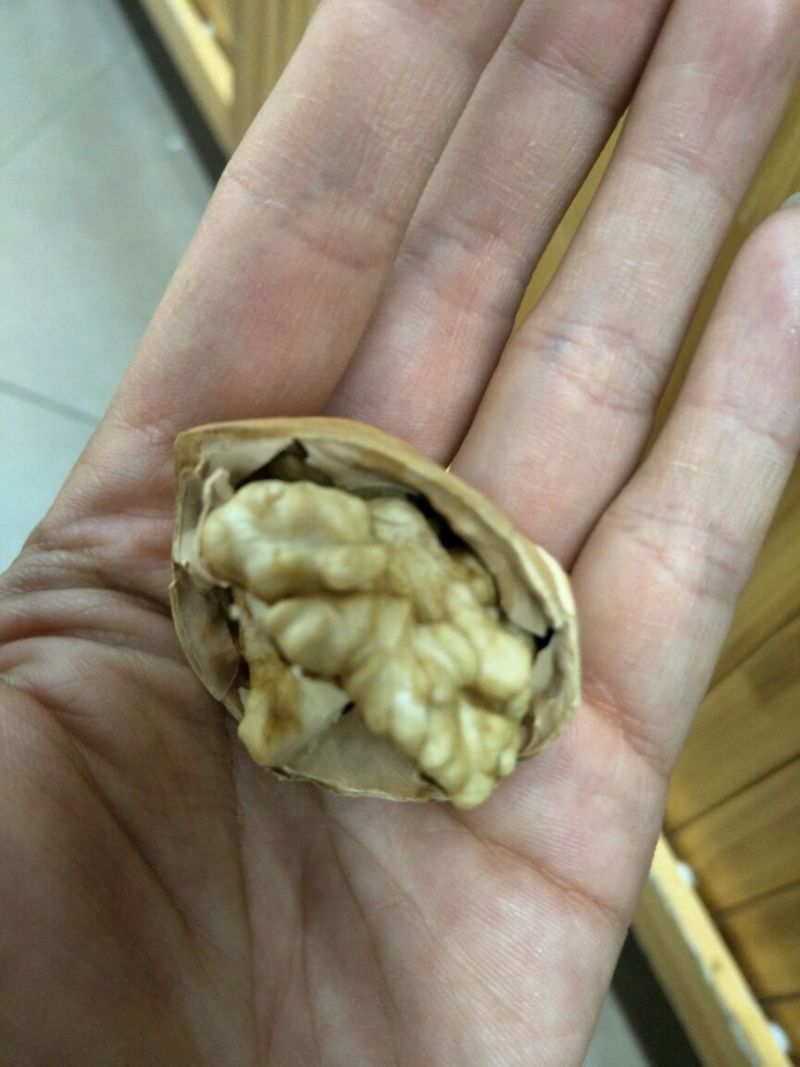 薄皮核桃30mm以上去皮干