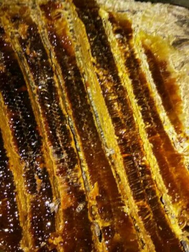 大山深处土蜂蜜！百草蜂，