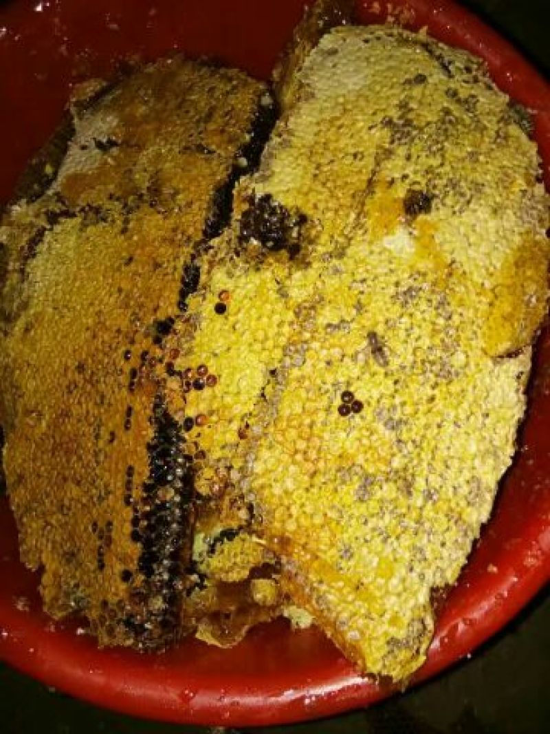 大山深处土蜂蜜！百草蜂，