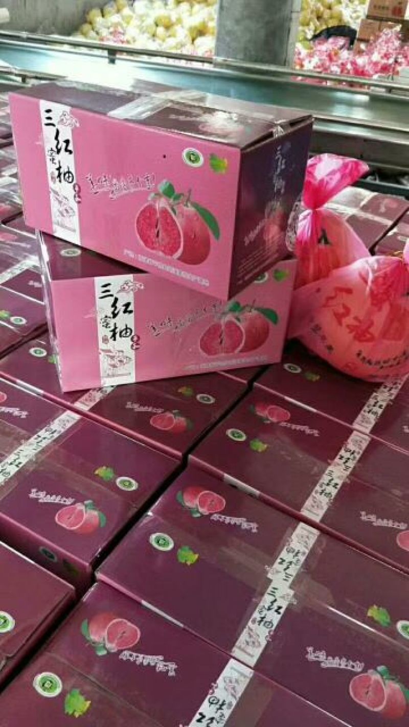 红心柚蜜柚白柚诚信经营、顾客至上欢迎订购