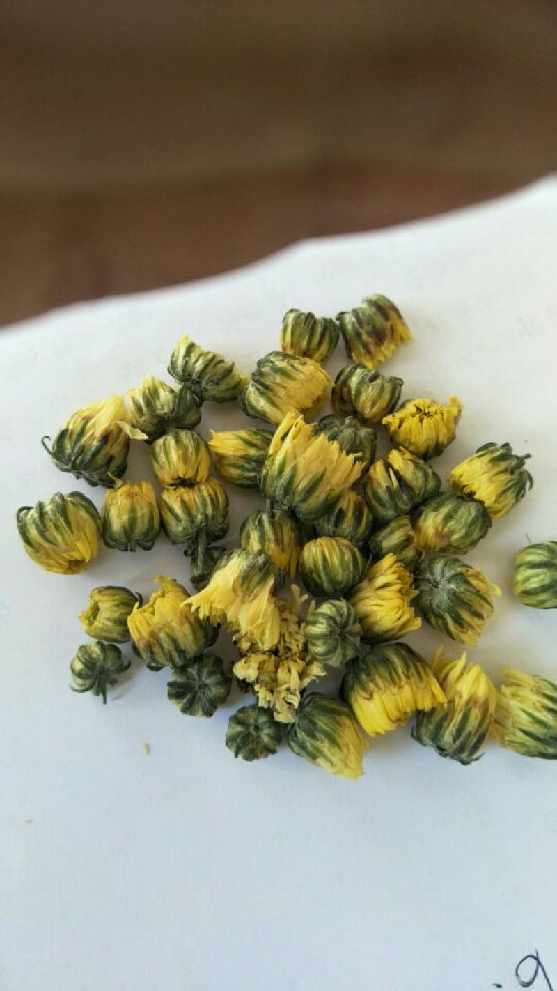 杭白菊北京菊精品胎菊王