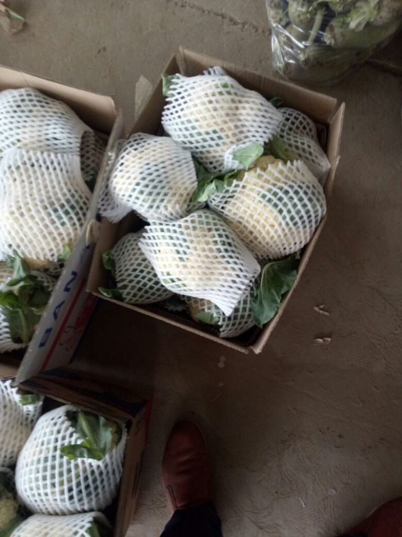 【牛商推荐】菜花1斤紧密乳白可对接商超团购量大从优