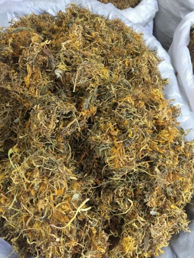 金银花湖南开花金银花。
