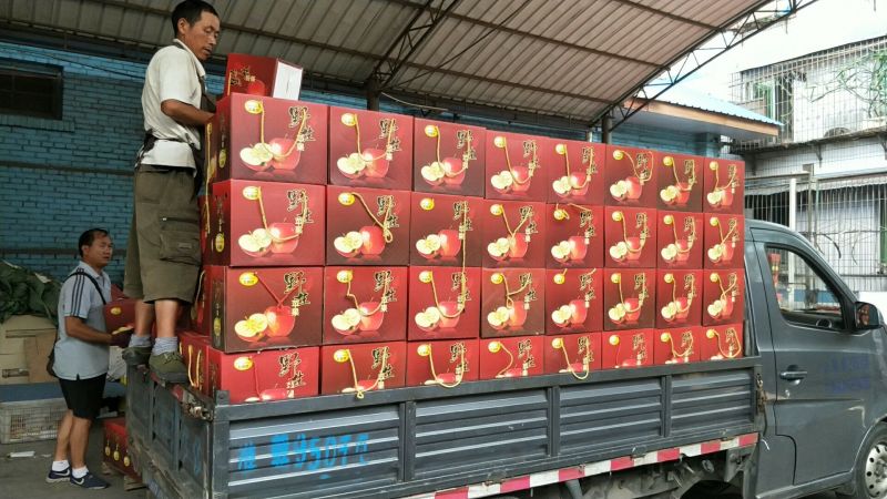 盐源苹果70mm以上纸+膜袋产地直发支持一件代发