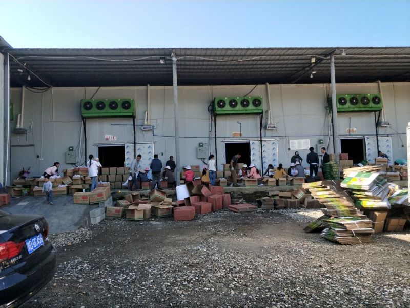 盐源苹果70mm以上纸+膜袋产地直发支持一件代发