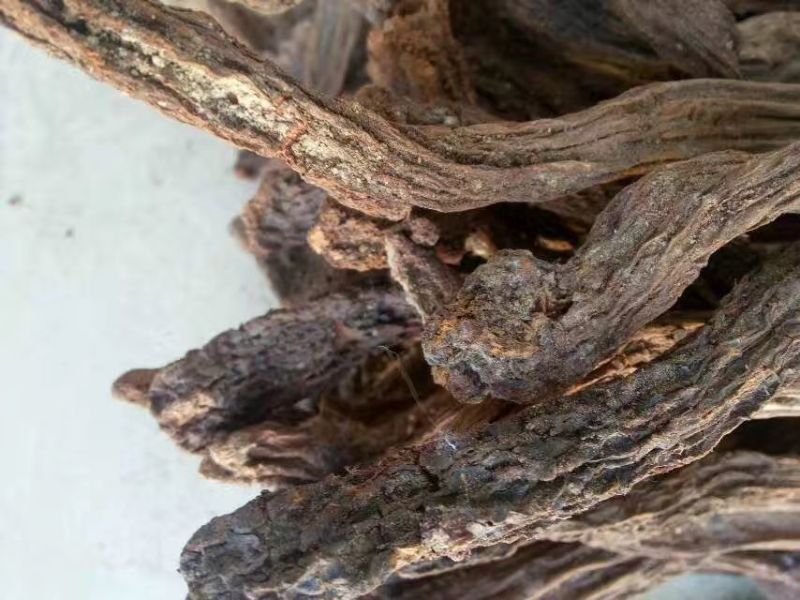 锁阳干货，切片
