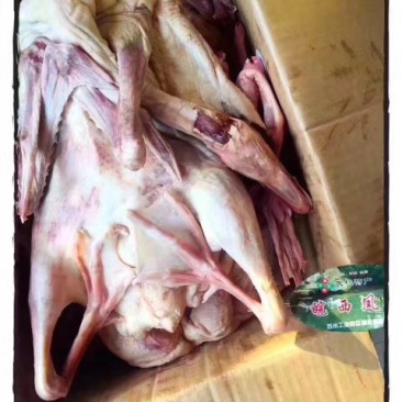 鹅肉鹅6~8斤