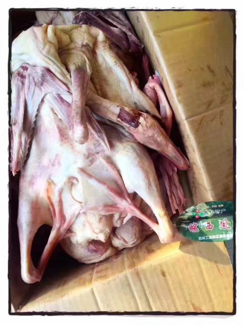 鹅肉鹅6~8斤