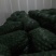 青皮核桃30mm以上青皮湿