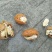 青皮核桃30mm以上青皮湿