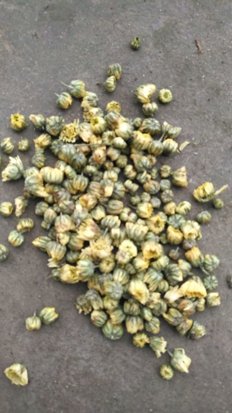 菊花茶一级