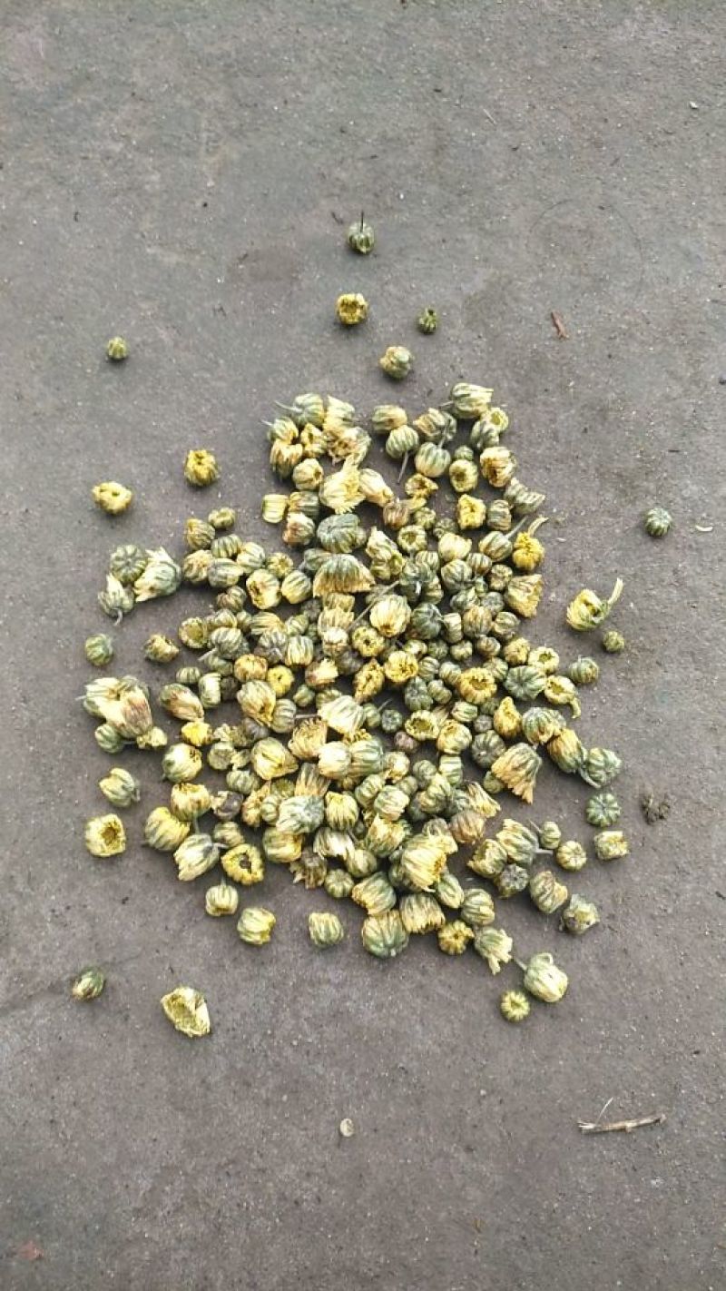 菊花茶一级