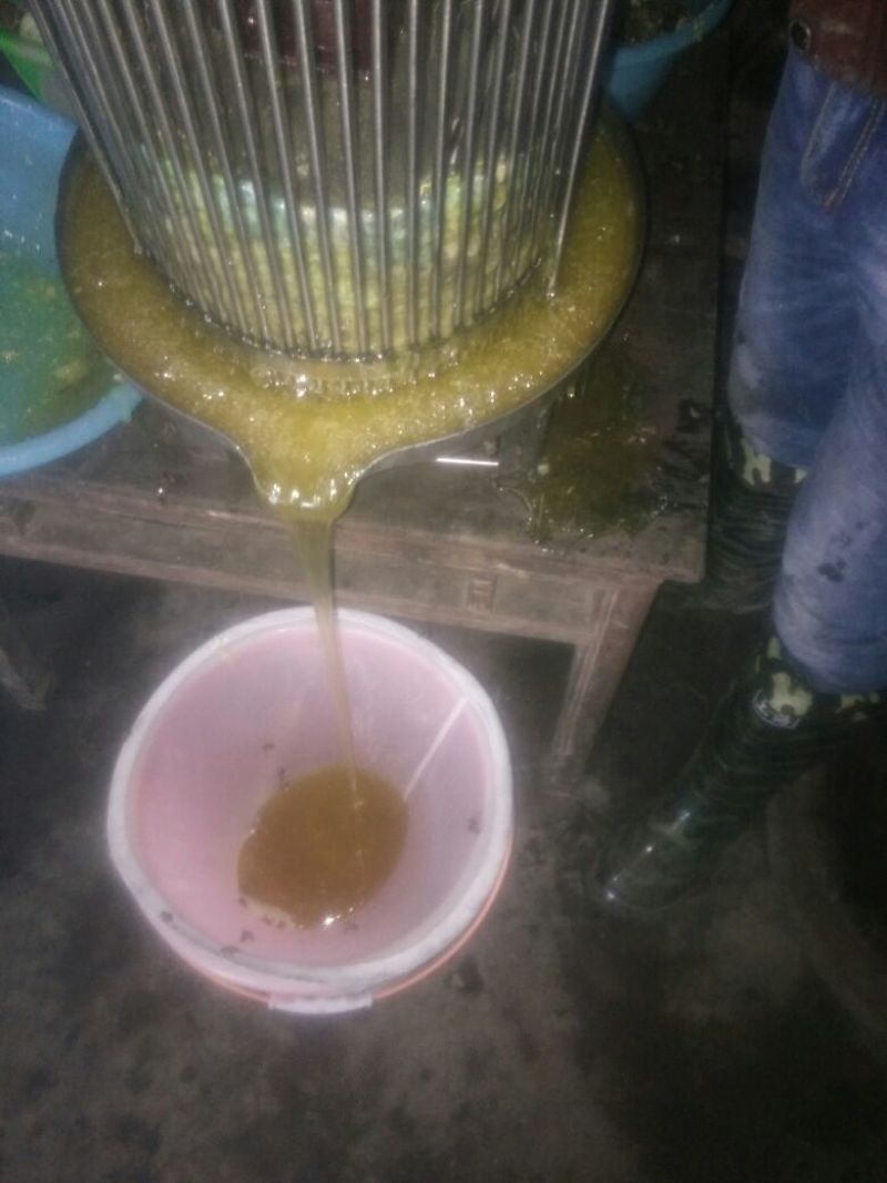 湖北恩施一年只取一次的土蜂蜜，(蜂蜜中含硒)
