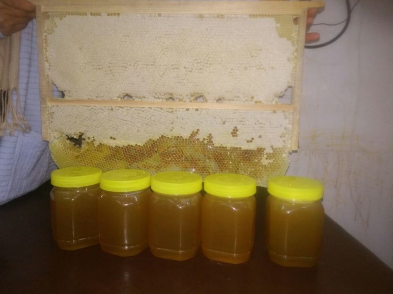 湖北恩施一年只取一次的土蜂蜜，(蜂蜜中含硒)