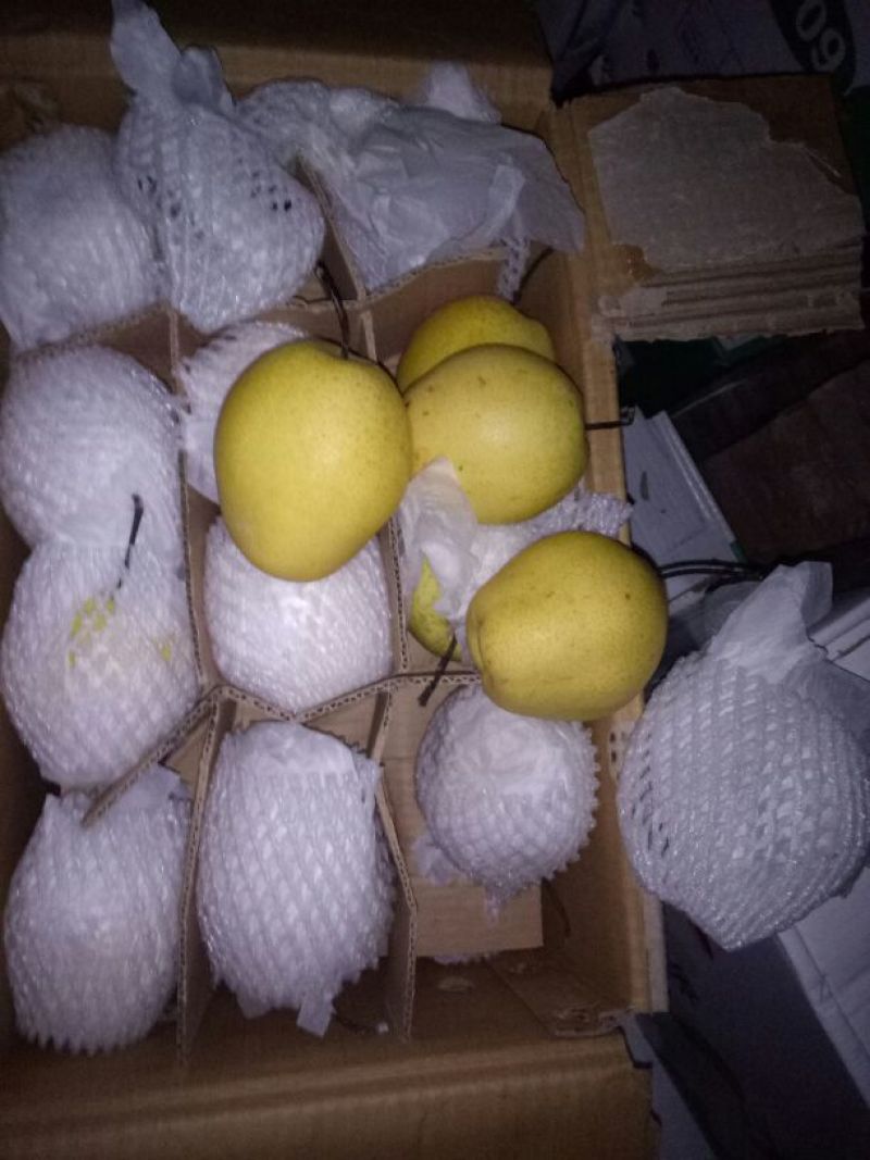 河北雪花梨货源充足价格低保证质量