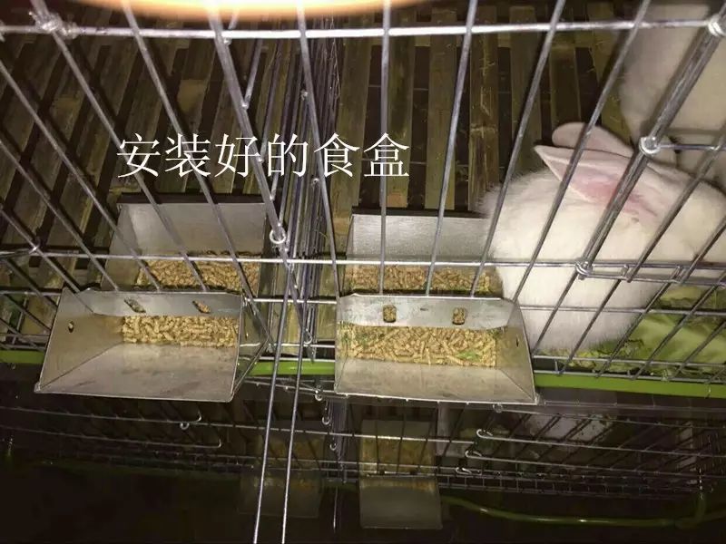 笼具兔笼加粗子母铁丝裸笼