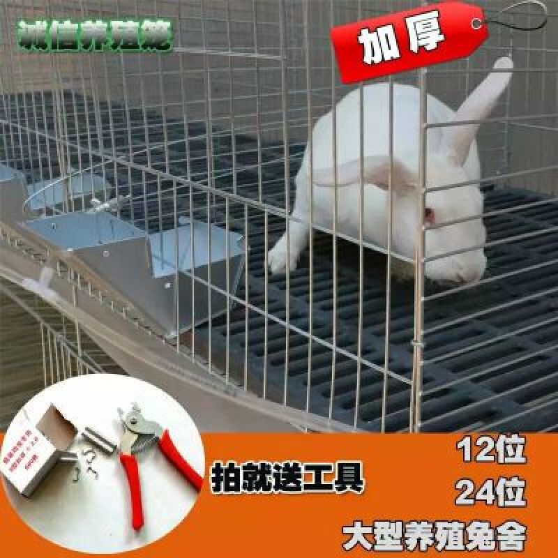 笼具兔笼加粗子母铁丝裸笼