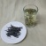 苦丁茶