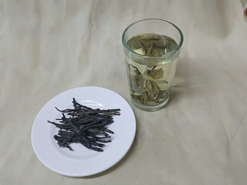 苦丁茶