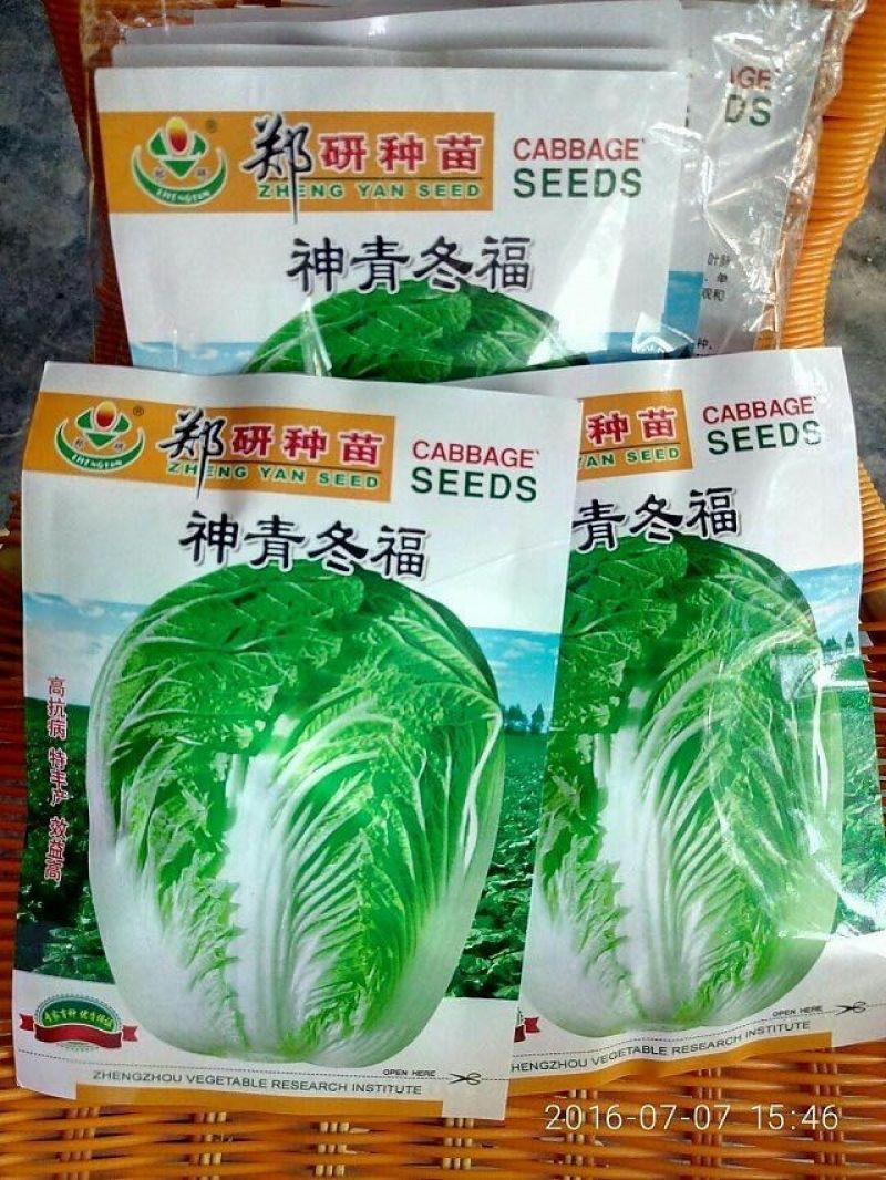白菜种子