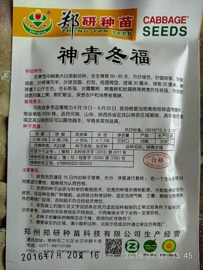 白菜种子
