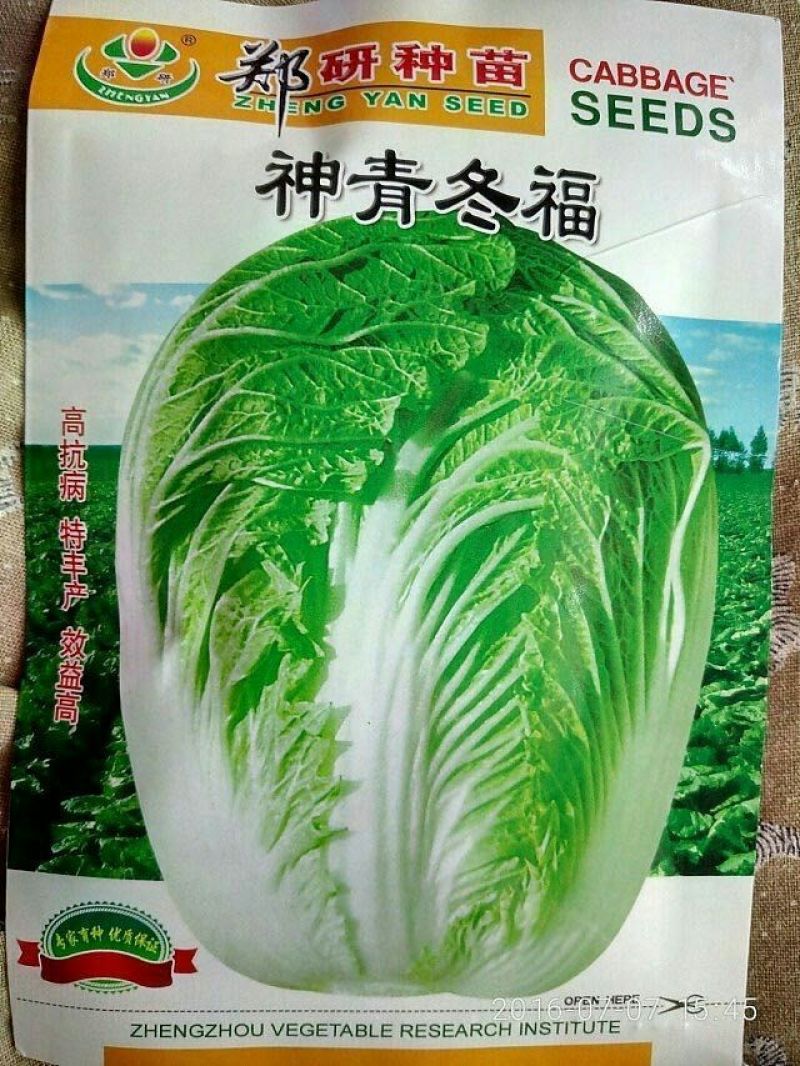 白菜种子