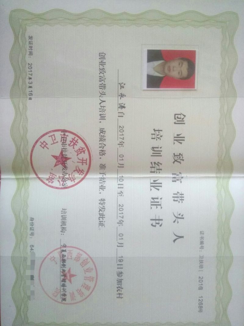 黑土豆无农药无污染有机食品