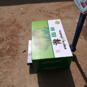 莱阳梨纸箱450~500g