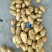 荷兰十五土豆荷兰十五，个头好颜色好，形状好，透明编织