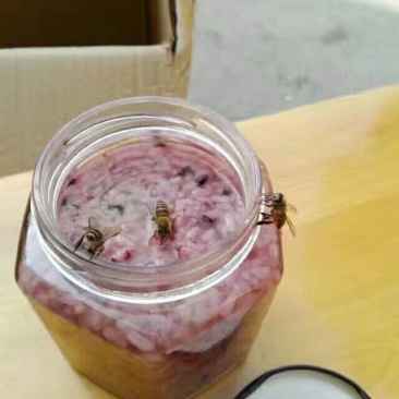 醪糟酒酿