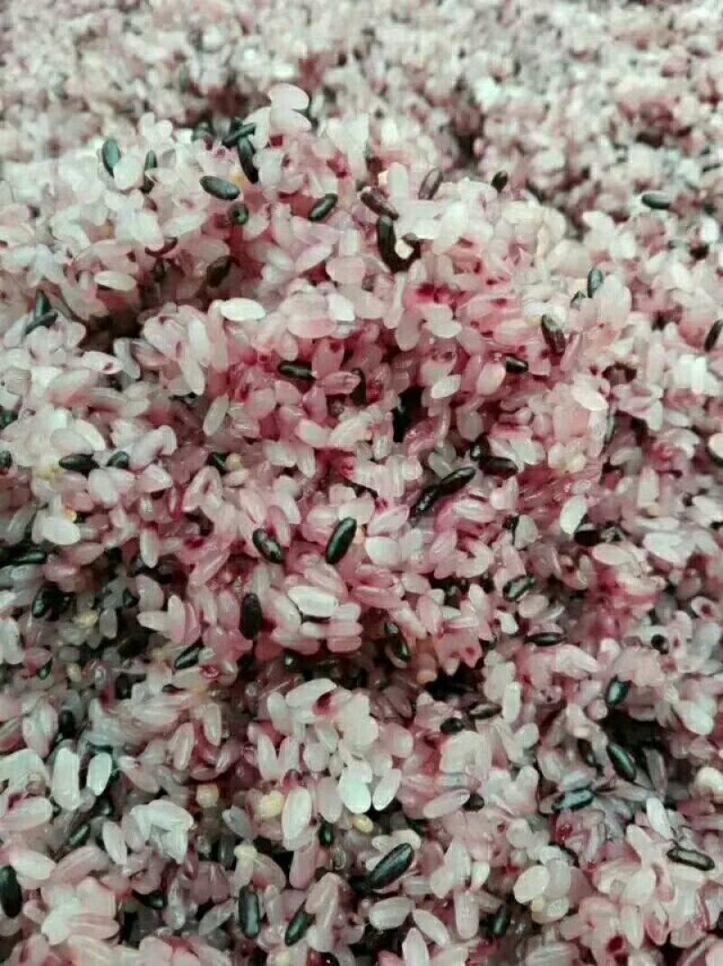 醪糟酒酿
