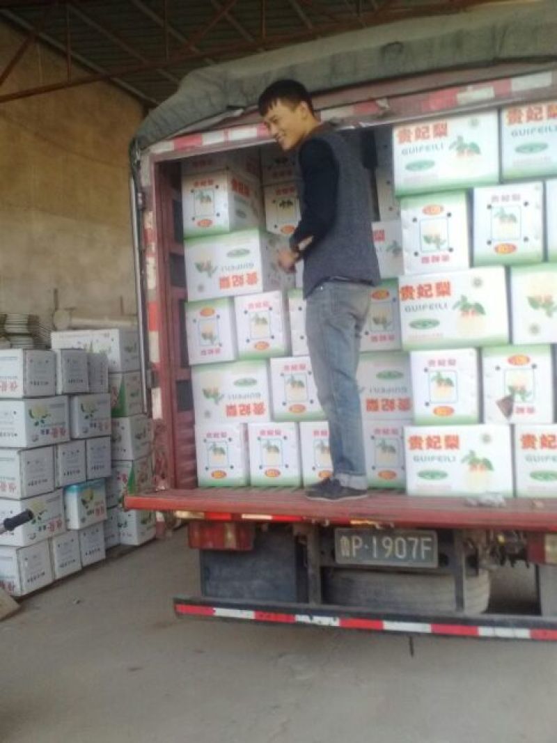 贵妃梨纸箱300~350g基地直发量大从优保质保量