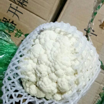 白花菜包装精品蔬菜