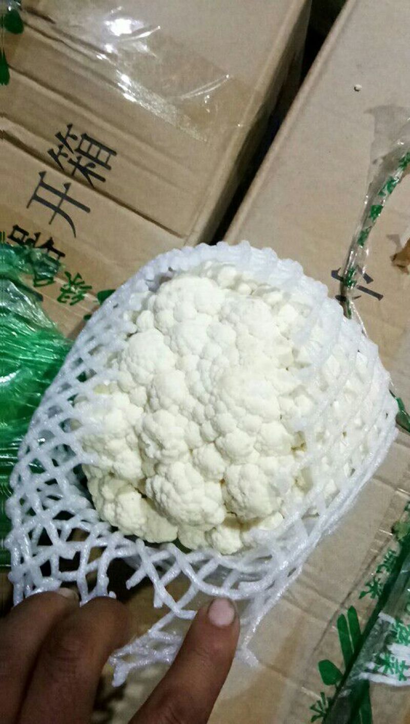 白花菜包装精品蔬菜