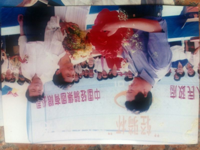 甬优一号葡萄苗50~80cm1年保证纯度保证质量