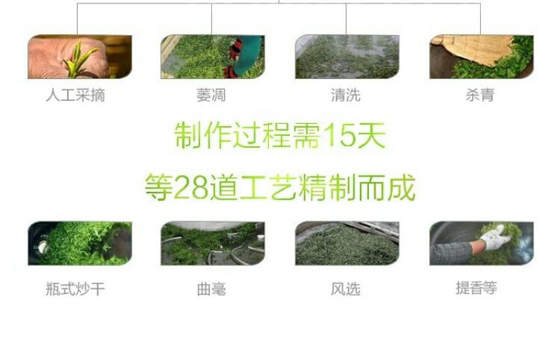 枸杞芽茶一级