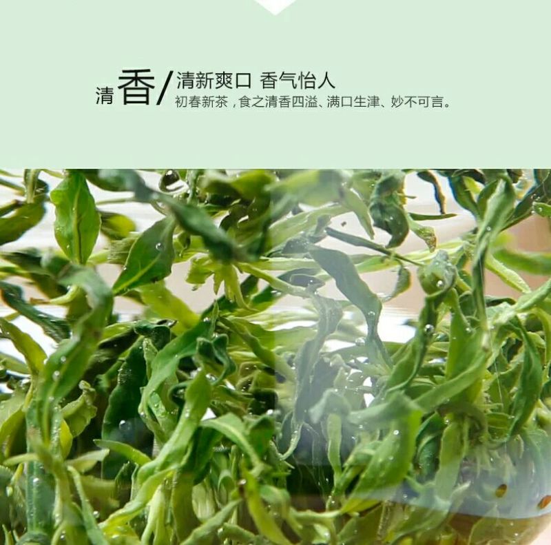 枸杞芽茶一级