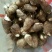 8520毛芋头种，大球，中球，小球货源充足，