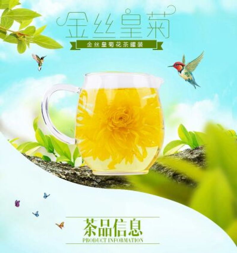 金丝皇菊茶一级