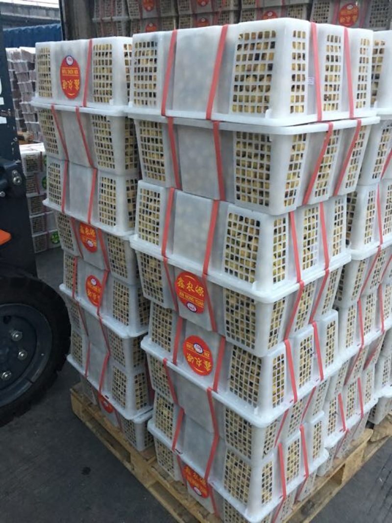 龙眼25毫米以上精品