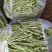 河北顺平白条豆角15厘米以上