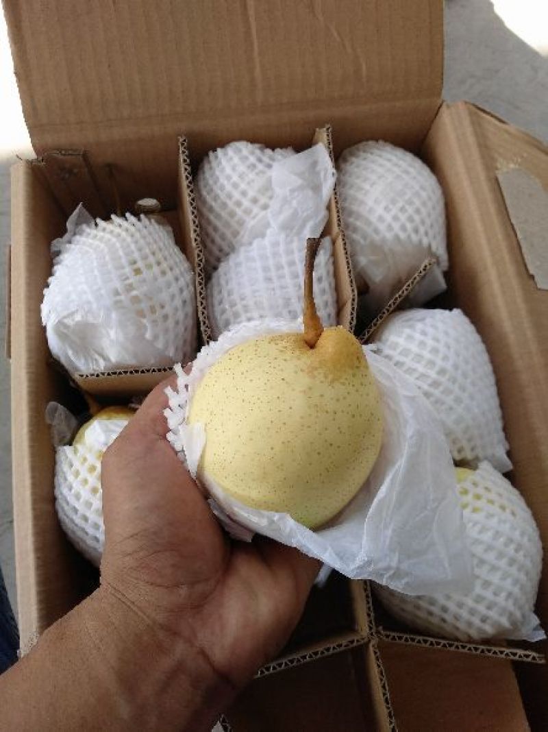 鸭梨纸箱250~300g