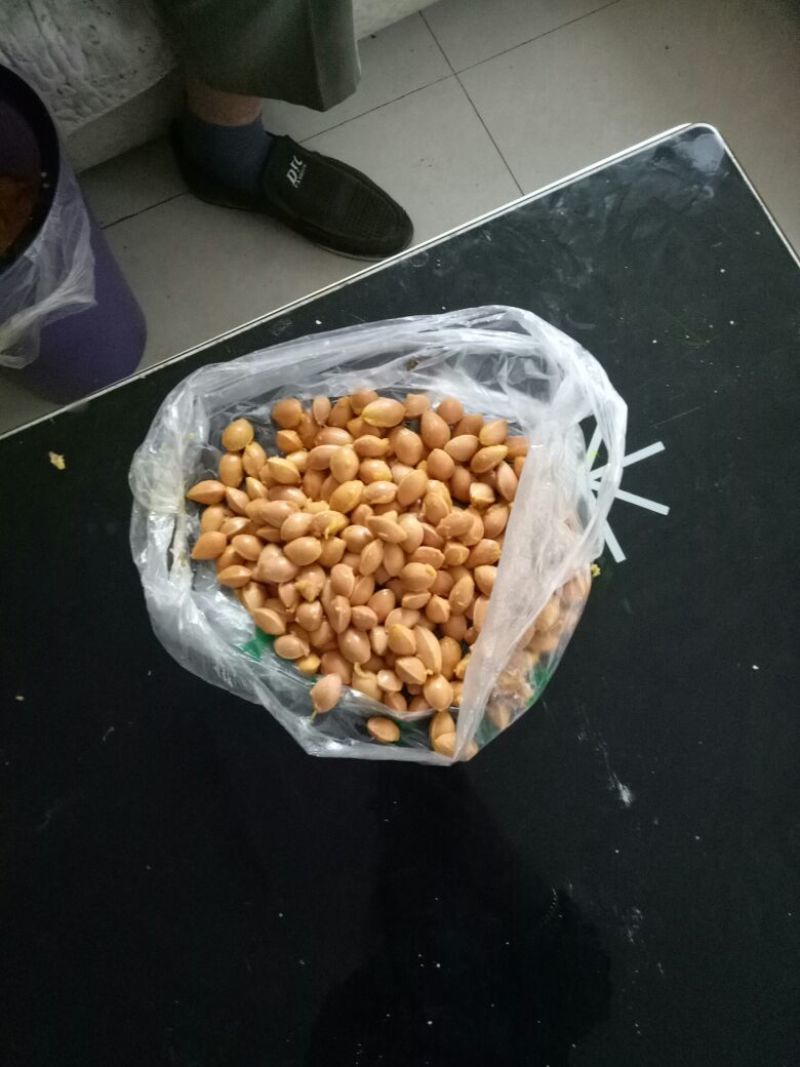 银杏果