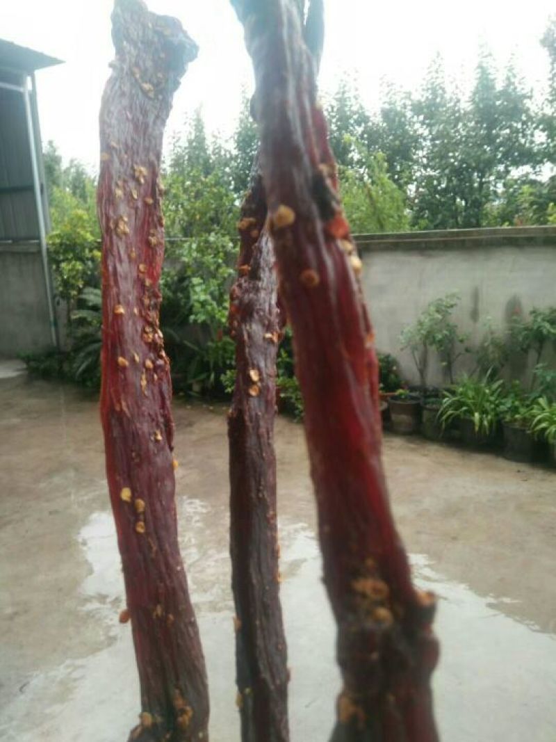 牛肉干黄牛肉鲜肉