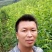 李子树苗蜂糖李苗