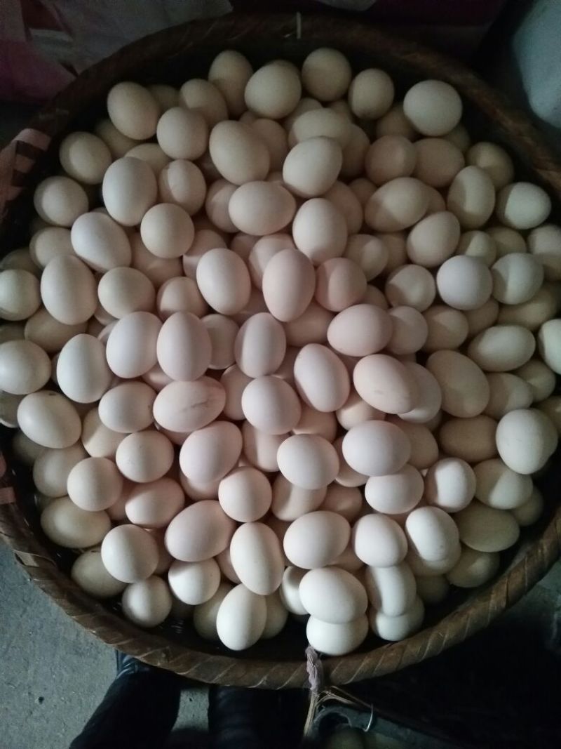 土鸡蛋50g以下食用
